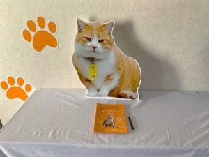 高梁　武家屋敷 ・旧埴原家内の "猫城主さんじゅーろーあしあと館？" の展示