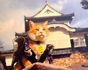 高梁 武家屋敷 ・旧埴原家内の "猫城主さんじゅーろーあしあと館?" の展示