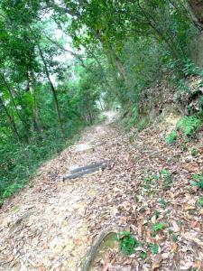 備中松山城　遊歩道(山道の登城路)