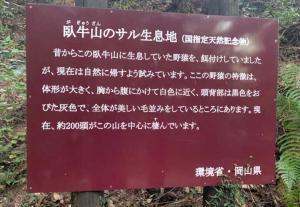 備中松山城　遊歩道(山道の登城路)