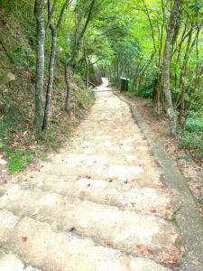 備中松山城　山道の登城路の様子