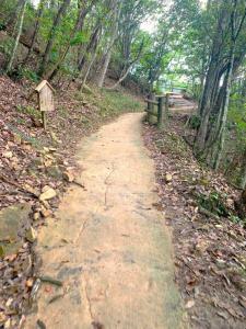備中松山城　山道の登城路の様子