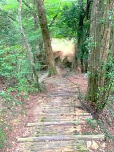 備中松山城　二の丸跡～大松山つり橋の道々の様子