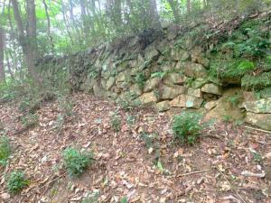 備中松山城　二の丸跡～大松山つり橋の道々の様子