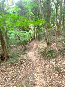 備中松山城　二の丸跡～大松山つり橋の道々の様子