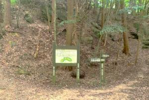 備中松山城 二の丸跡~大松山つり橋の道々の様子