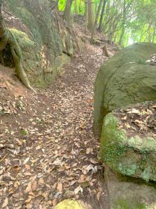 備中松山城 天神の丸跡(=天神社跡?)