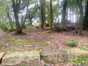 備中松山城　天神の丸跡(＝天神社跡？)