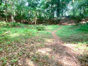 大松山城跡 (備中松山城)