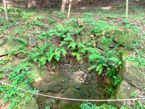 大松山城跡 (備中松山城)