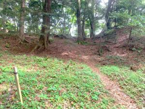 大松山城跡　(備中松山城)