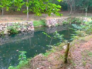 備中松山城 大池(=血の池)