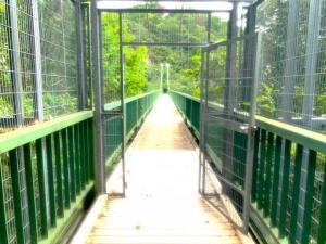 備中松山城　大松山つり橋