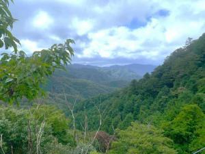 備中松山城　大松山つり橋からの景色