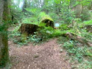 備中松山城　二の丸跡～大松山つり橋の道々の様子