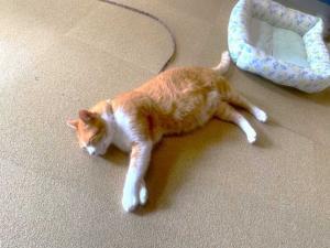 備中松山城 (さんじゅーろー)