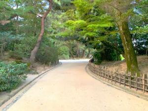 岡山後楽園　森の中