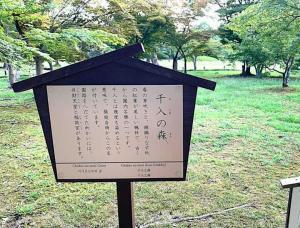 岡山後楽園 千入の森