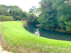 岡山後楽園 花交の池