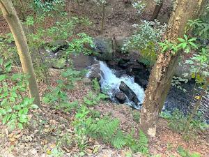 岡山後楽園 花交の滝