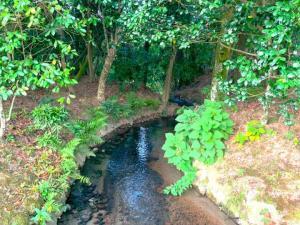岡山後楽園 飛び石の橋上からの景色