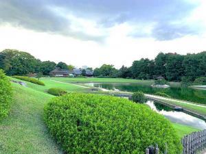 岡山後楽園　唯心山から西の景色