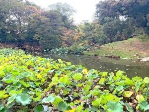 岡山後楽園