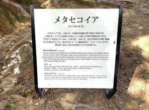 倉敷アイビースクエア