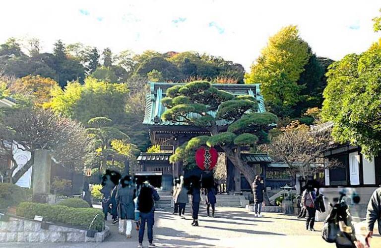 鎌倉・長谷寺 山門