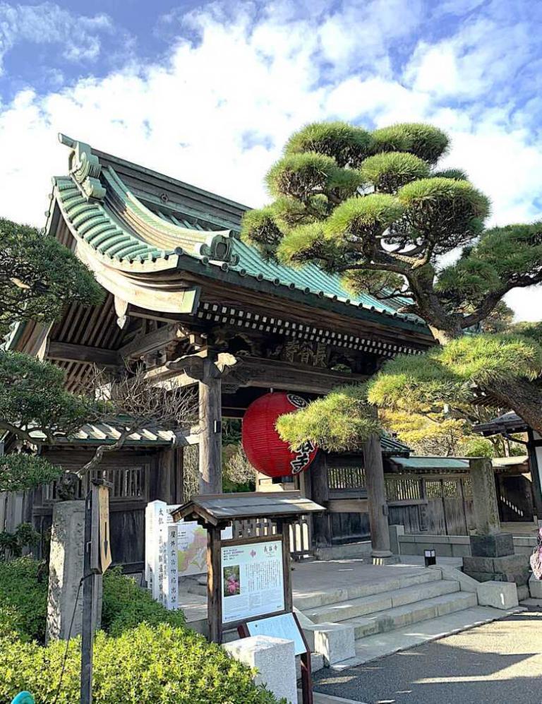 鎌倉・長谷寺 山門