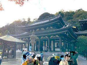 鎌倉 長谷寺 観音堂