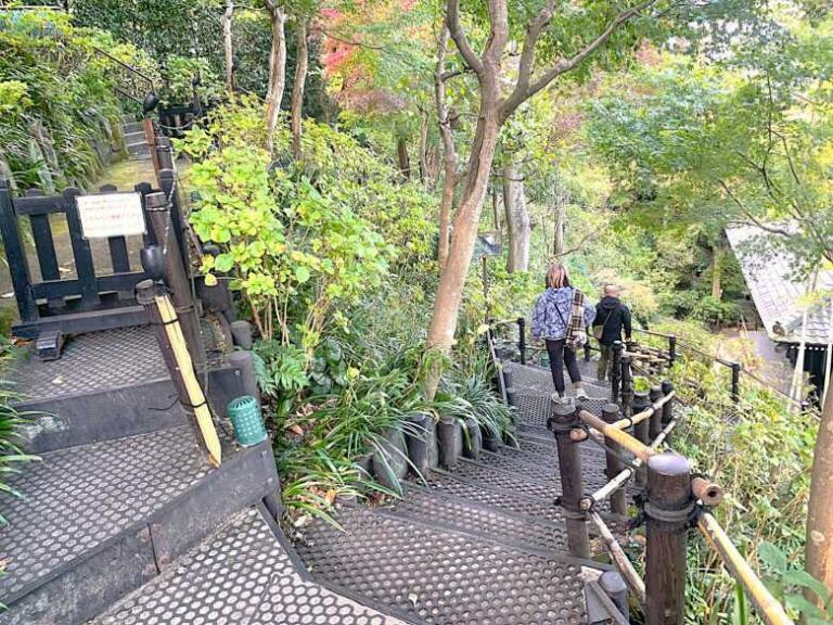 鎌倉・長谷寺 眺望散策路(あじさい径)