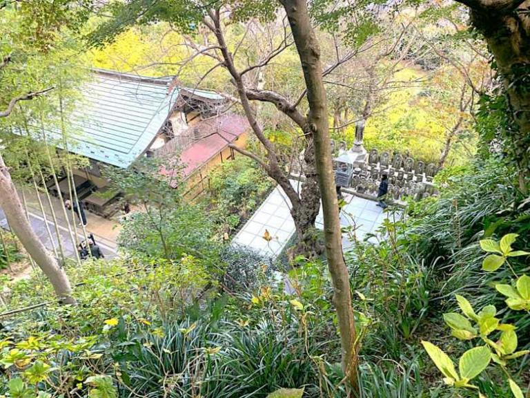 鎌倉・長谷寺 眺望散策路(あじさい径)