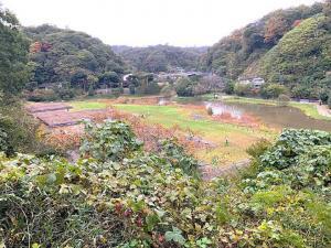 永福寺跡 展望台