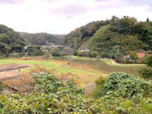 永福寺跡 展望台