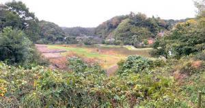 永福寺跡 展望台より