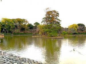 鶴岡八幡宮 源平池 源氏池