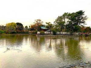 鶴岡八幡宮 源平池 源氏池