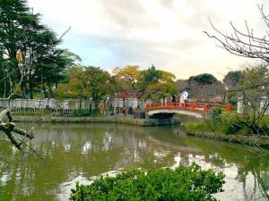 鶴岡八幡宮 源平池 源氏池と旗上弁財天社への橋