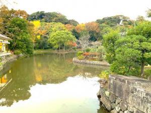 鶴岡八幡宮 源平池 平氏池
