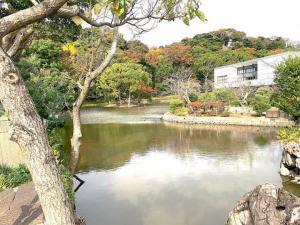 鶴岡八幡宮 源平池 平氏池と倉文華館 鶴岡ミュージアム