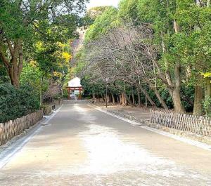 鶴岡八幡宮 東西に延びる参道(中央から西側)
