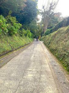 鎌倉 亀ケ谷坂切通