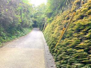 鎌倉 亀ケ谷坂切通