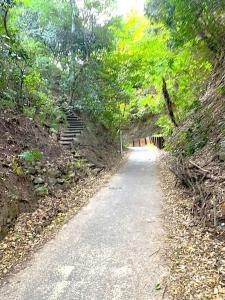 鎌倉 亀ケ谷坂切通