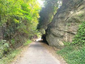 鎌倉 亀ケ谷坂切通