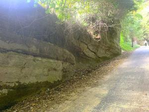 鎌倉 亀ケ谷坂切通