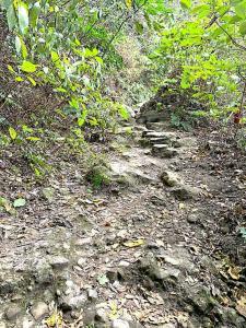 鎌倉 化粧坂切通