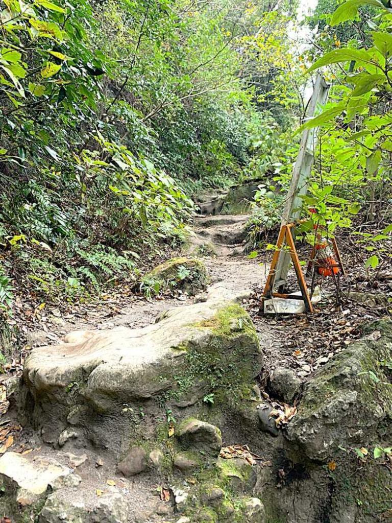 鎌倉 化粧坂切通