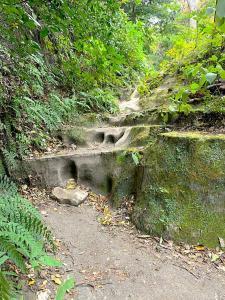 鎌倉 化粧坂切通